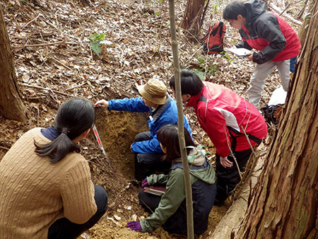土壌断面調査の写真です