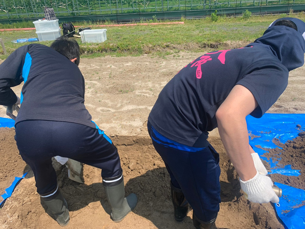 農地での作業の様子です